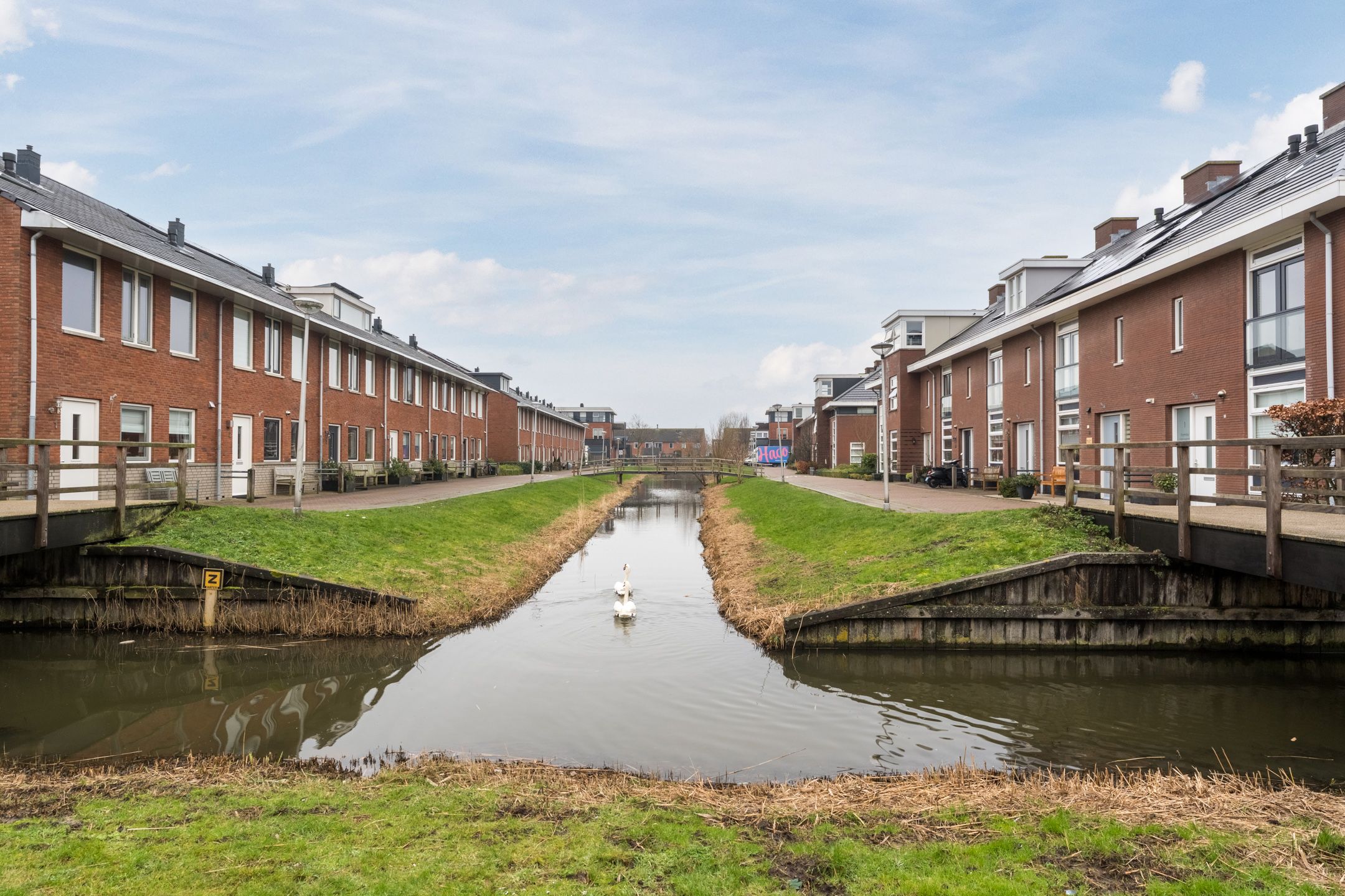 Foto 45 van Slechtvalk 6