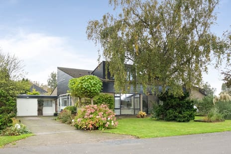 undefined main image