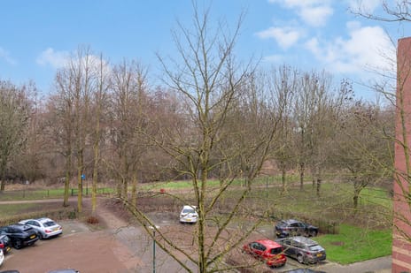 Dagpauwooglaan 108 tertiary image