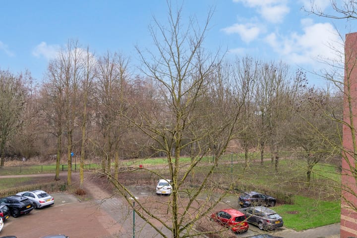 Foto 4 van Dagpauwooglaan 108