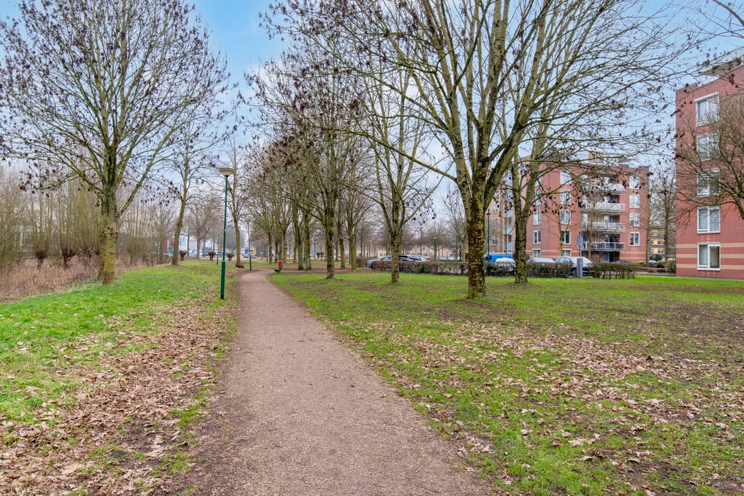 Foto 28 van Dagpauwooglaan 108