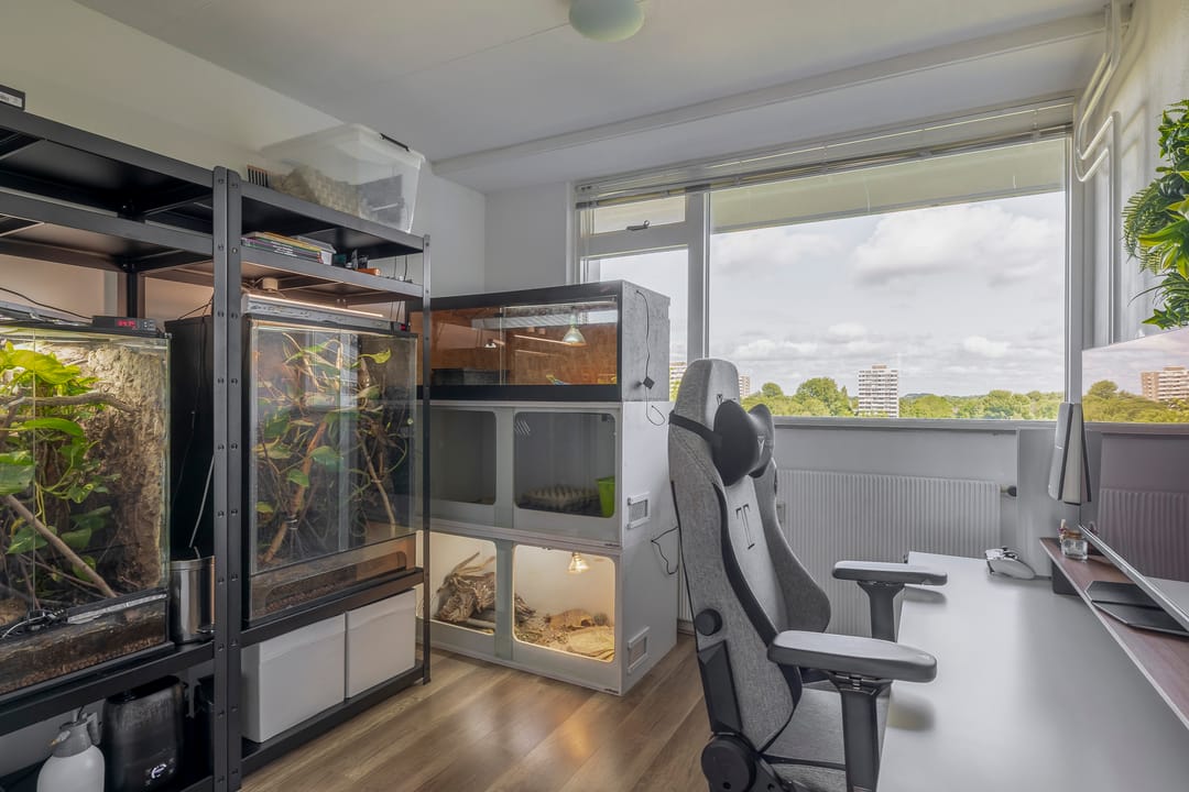 Foto 41 van Stadhoudersring 182