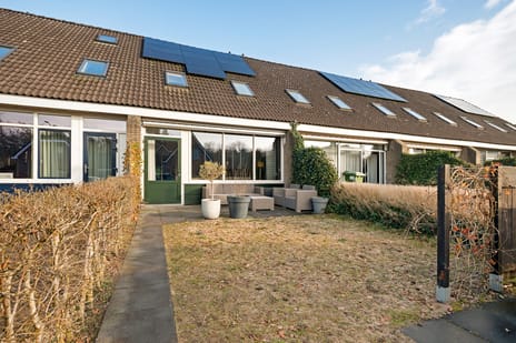 undefined main image