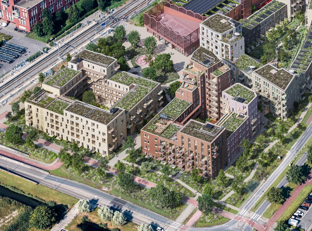 Foto 1 van Mannagras 77