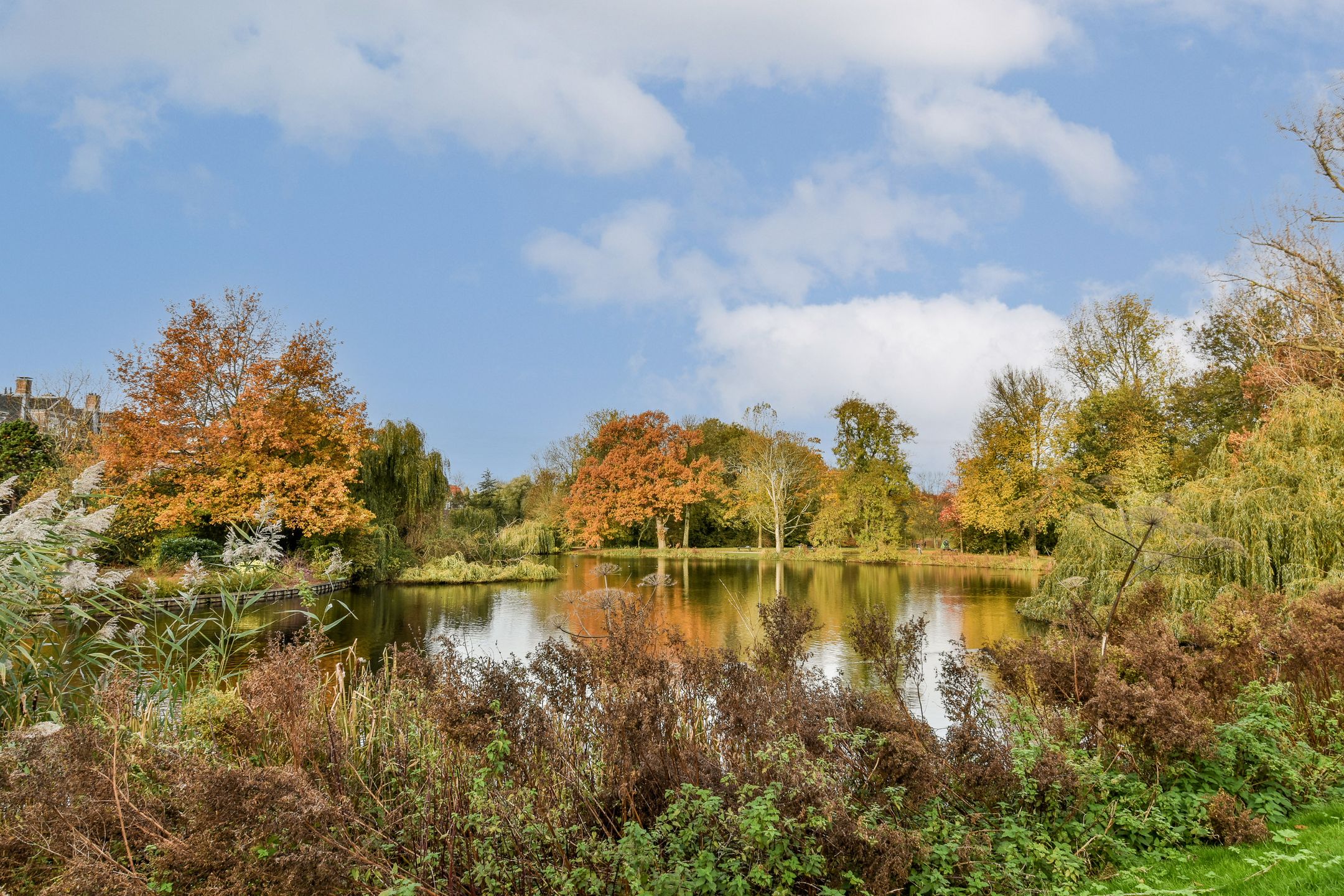 Photo 30 of Sophialaan 19-E