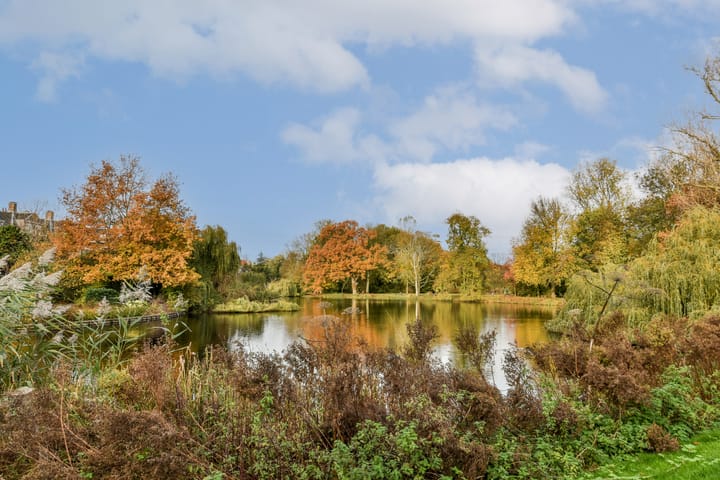 Photo 30 of Sophialaan 19-E