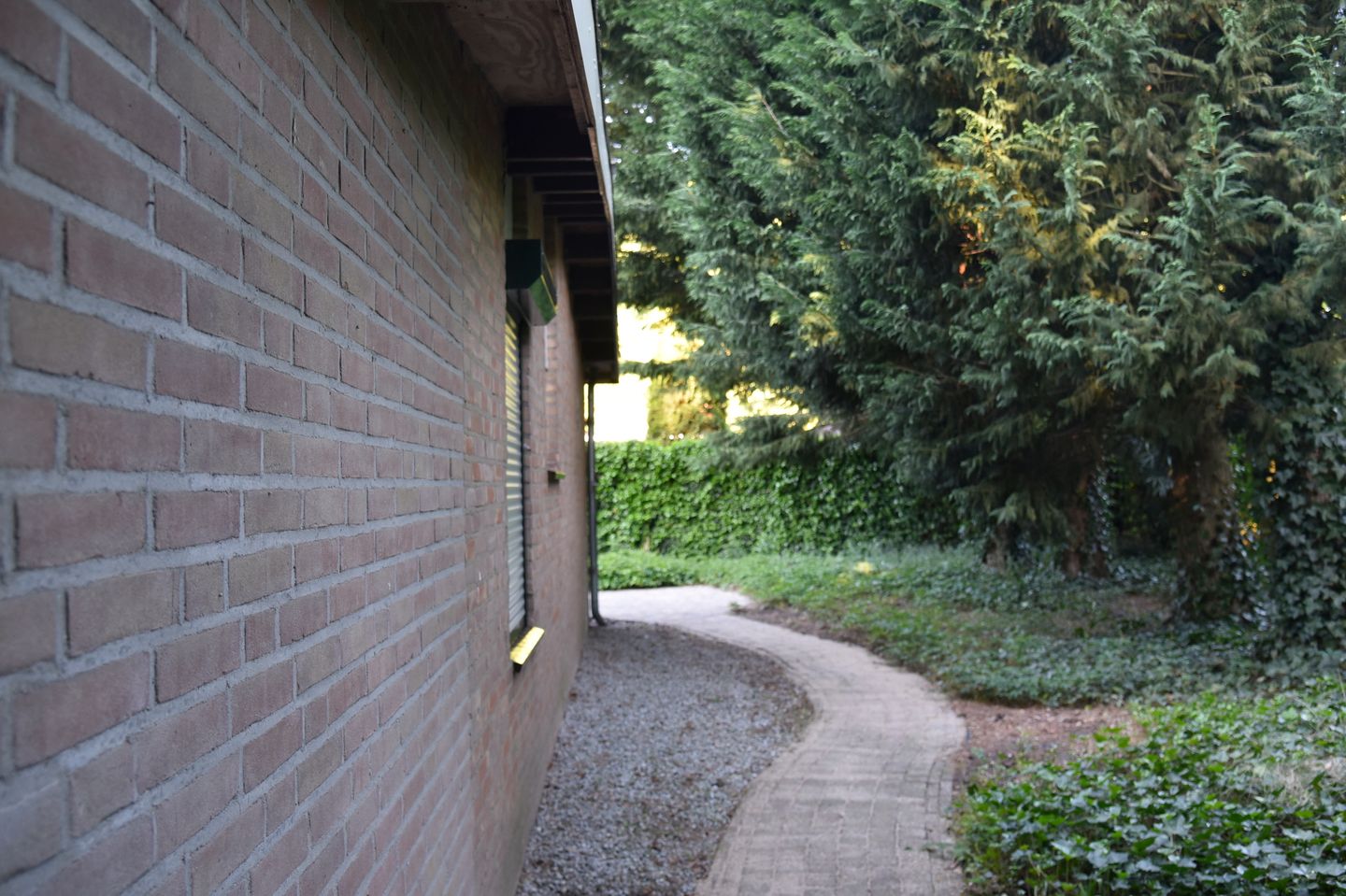 Photo 25 of Reewoude 17