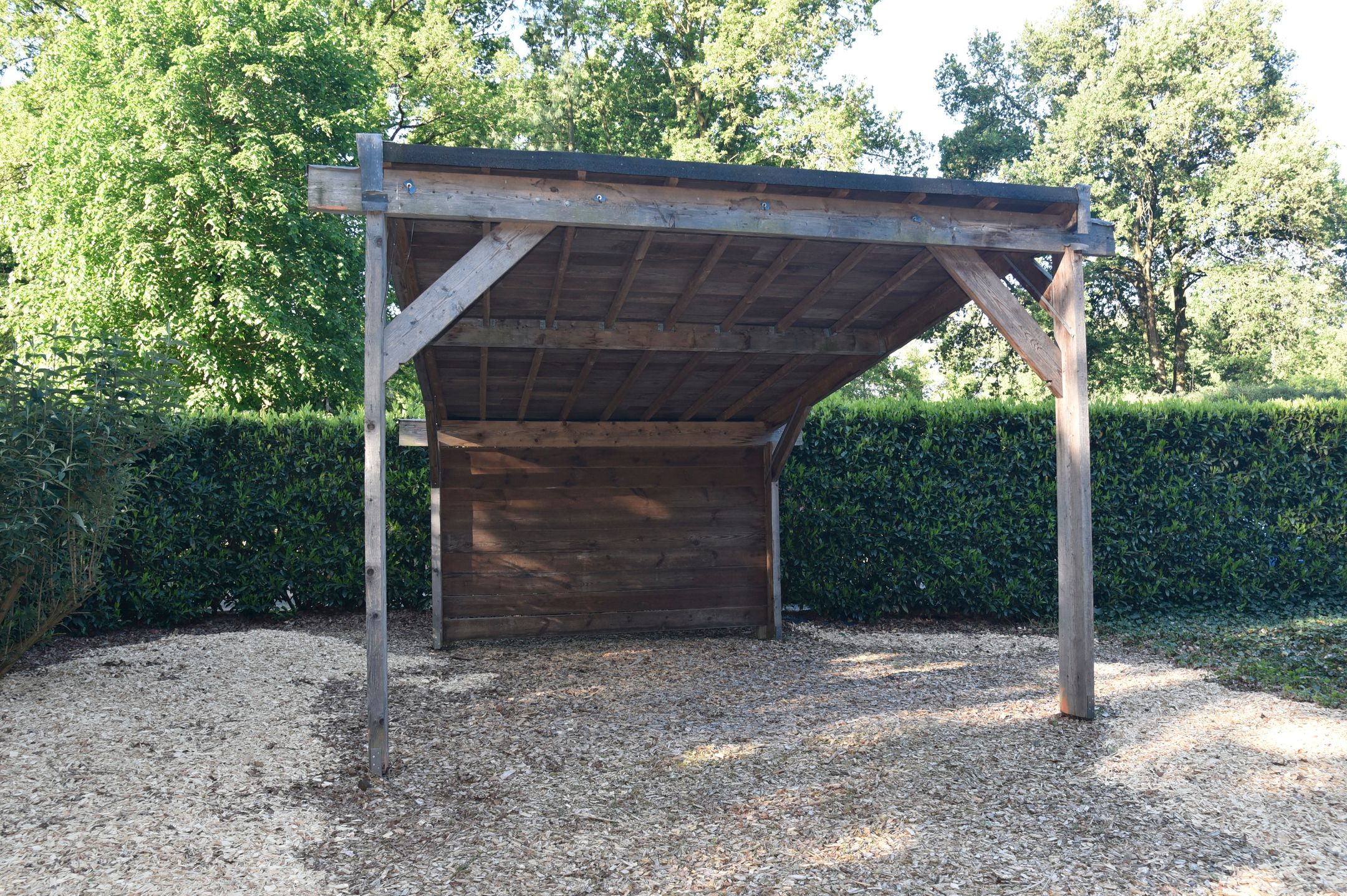 Photo 33 of Reewoude 17