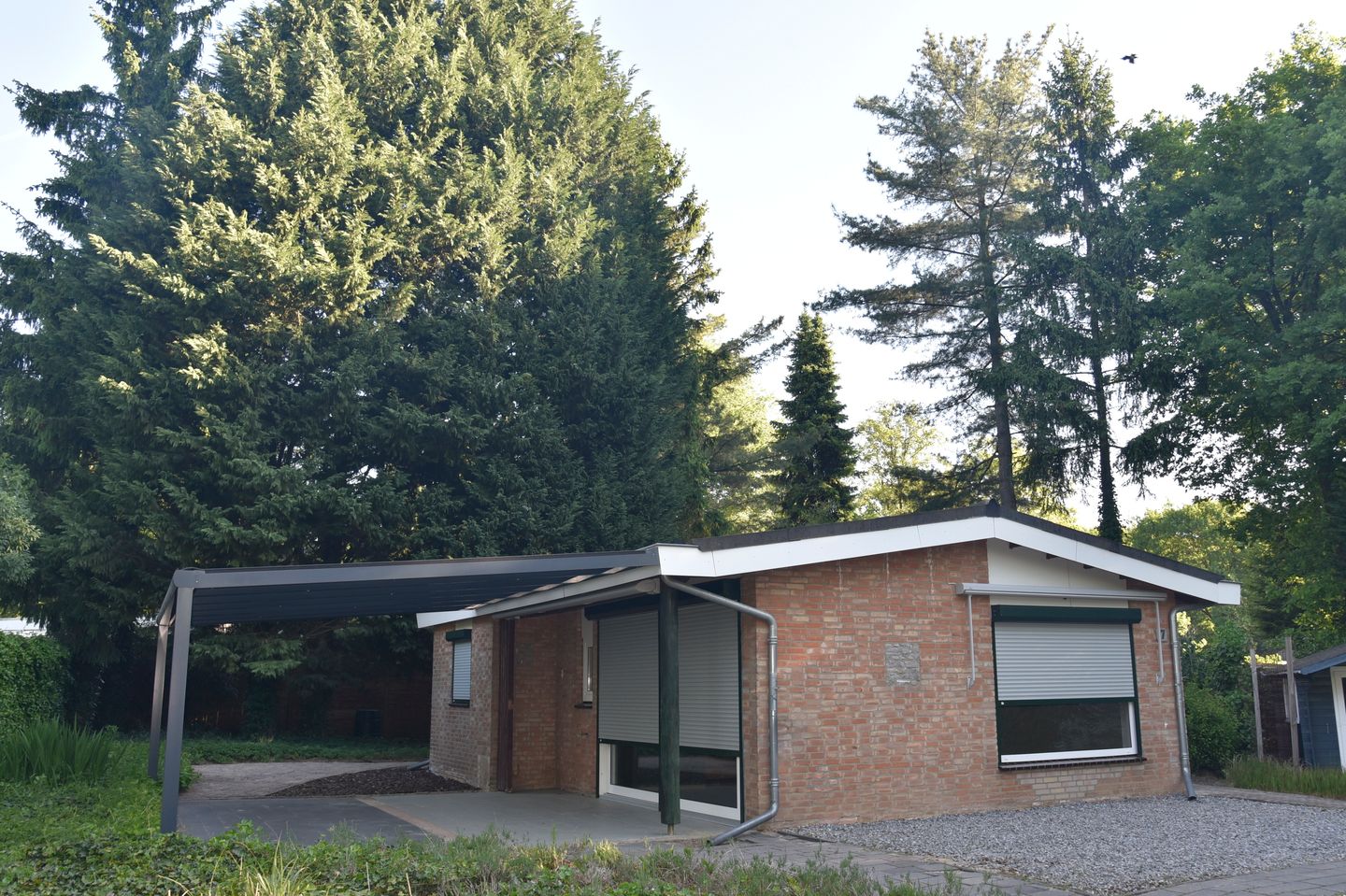 Photo 35 of Reewoude 17