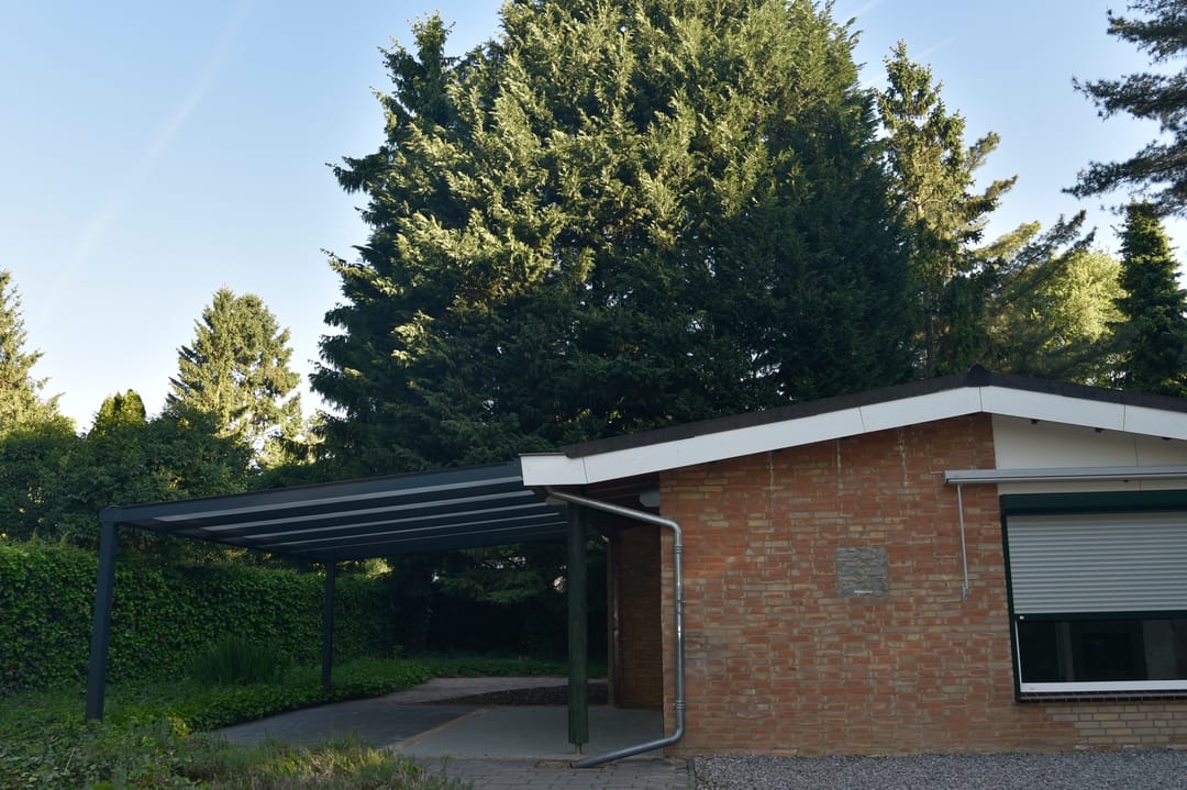 Photo 38 of Reewoude 17