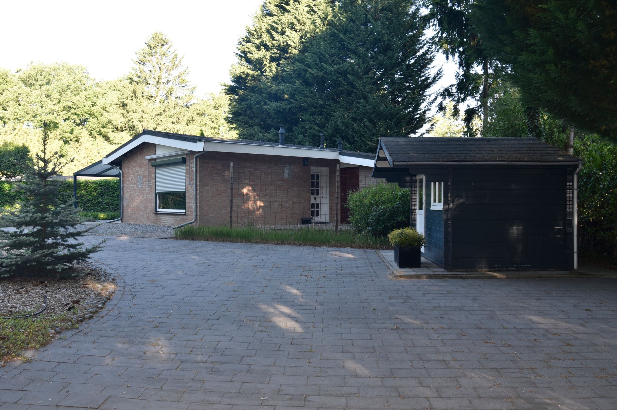 Photo 39 of Reewoude 17