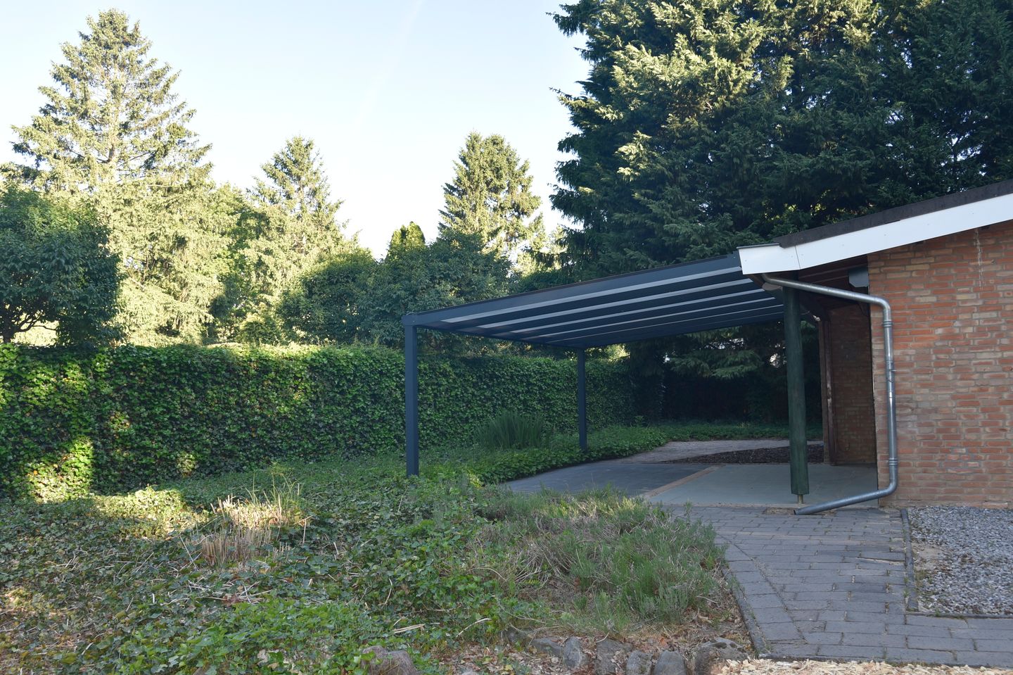 Photo 40 of Reewoude 17