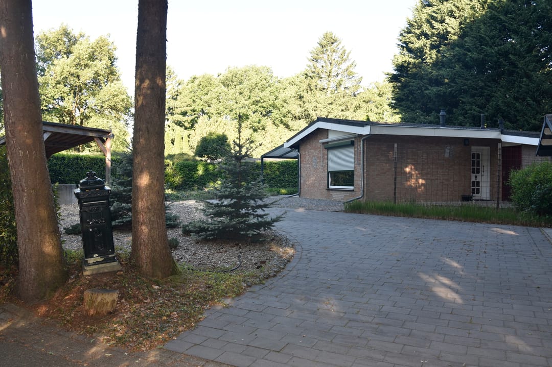 Photo 41 of Reewoude 17