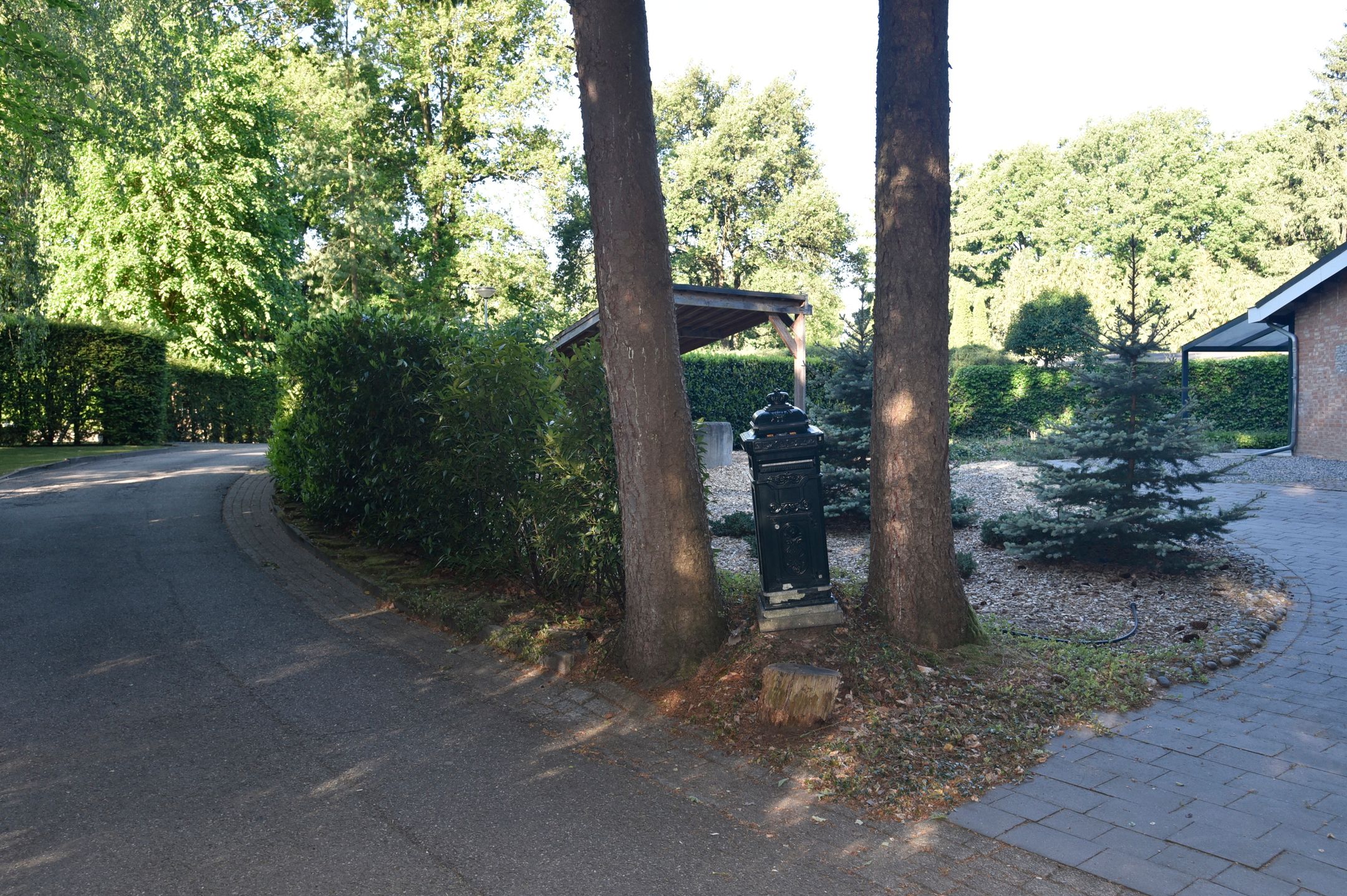 Photo 42 of Reewoude 17