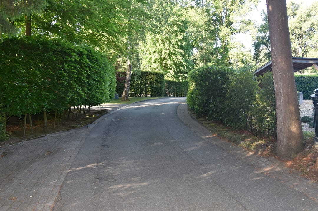 Photo 43 of Reewoude 17