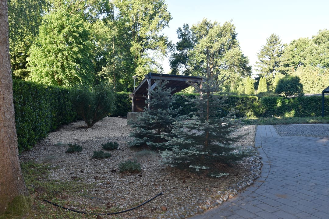 Photo 47 of Reewoude 17