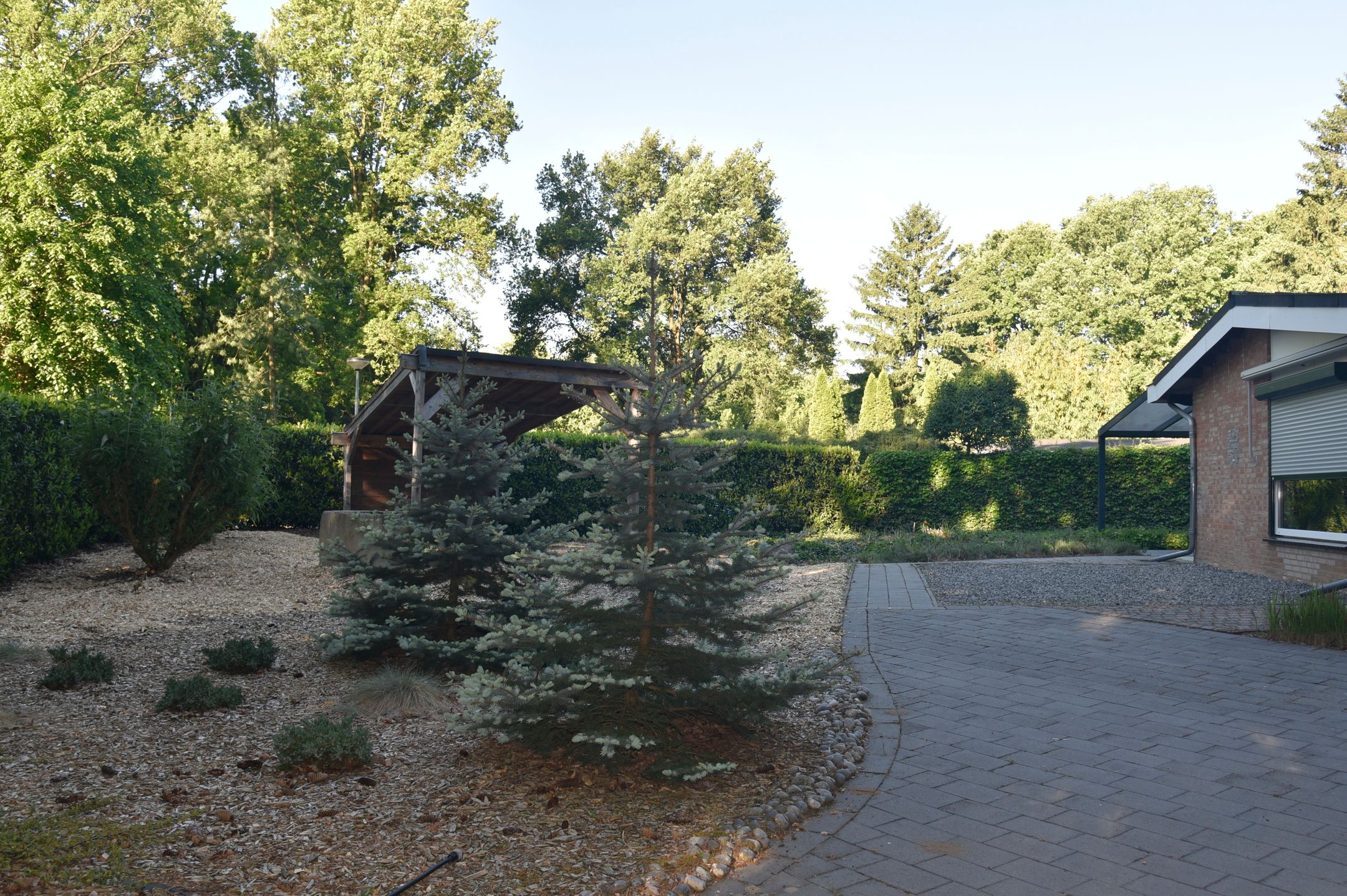 Photo 48 of Reewoude 17