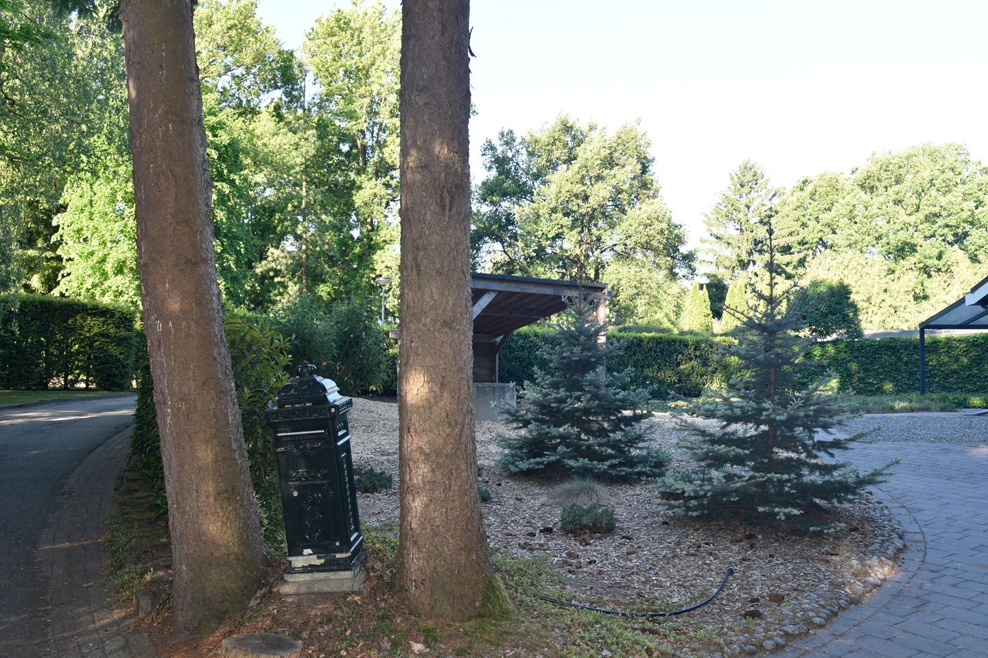 Photo 49 of Reewoude 17