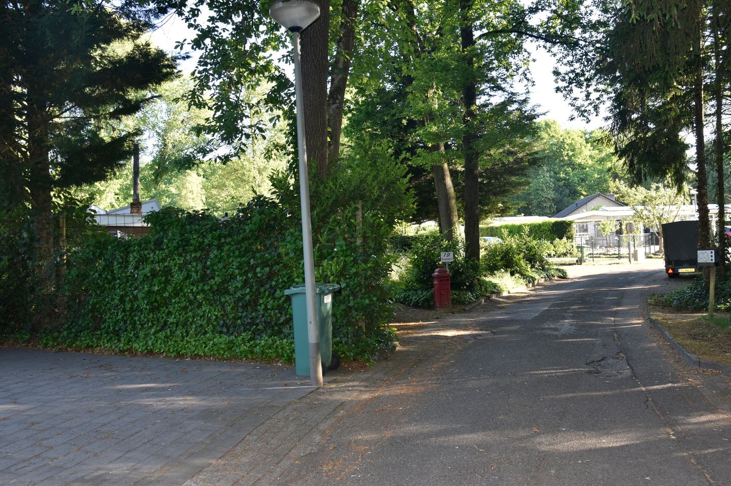 Photo 50 of Reewoude 17