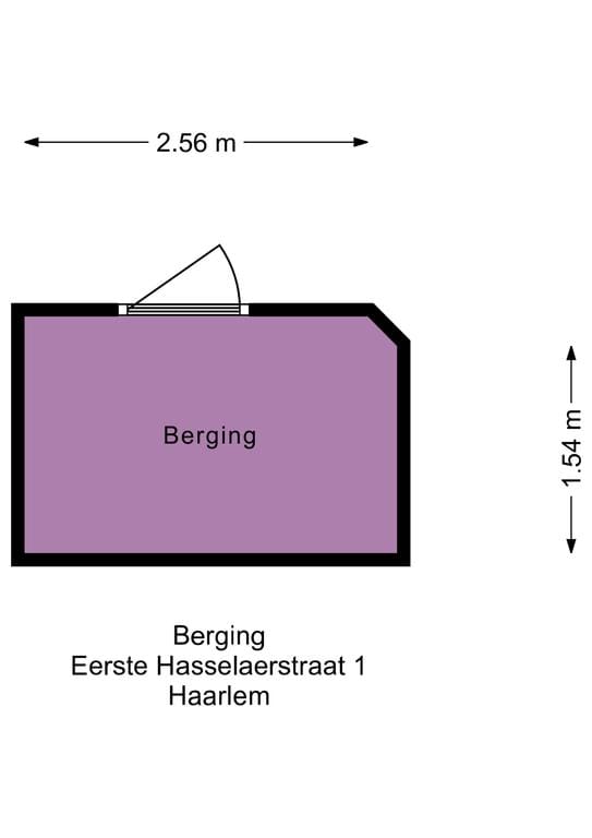 Foto 35 van Eerste Hasselaerstraat 1