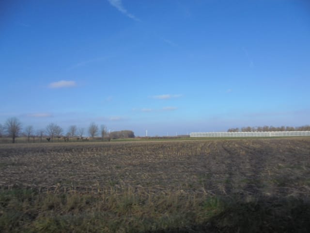 Bekijk foto 3 van Hoevenseweg