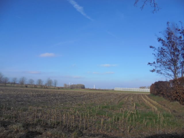 Bekijk foto 5 van Hoevenseweg