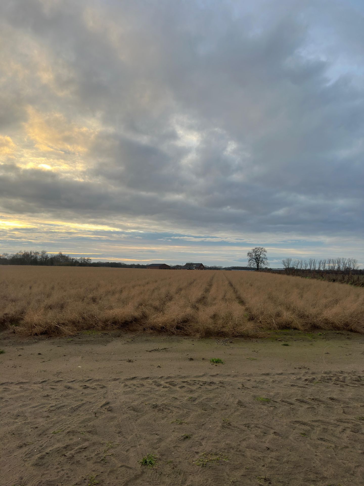 Bekijk foto 1 van Veldstraat
