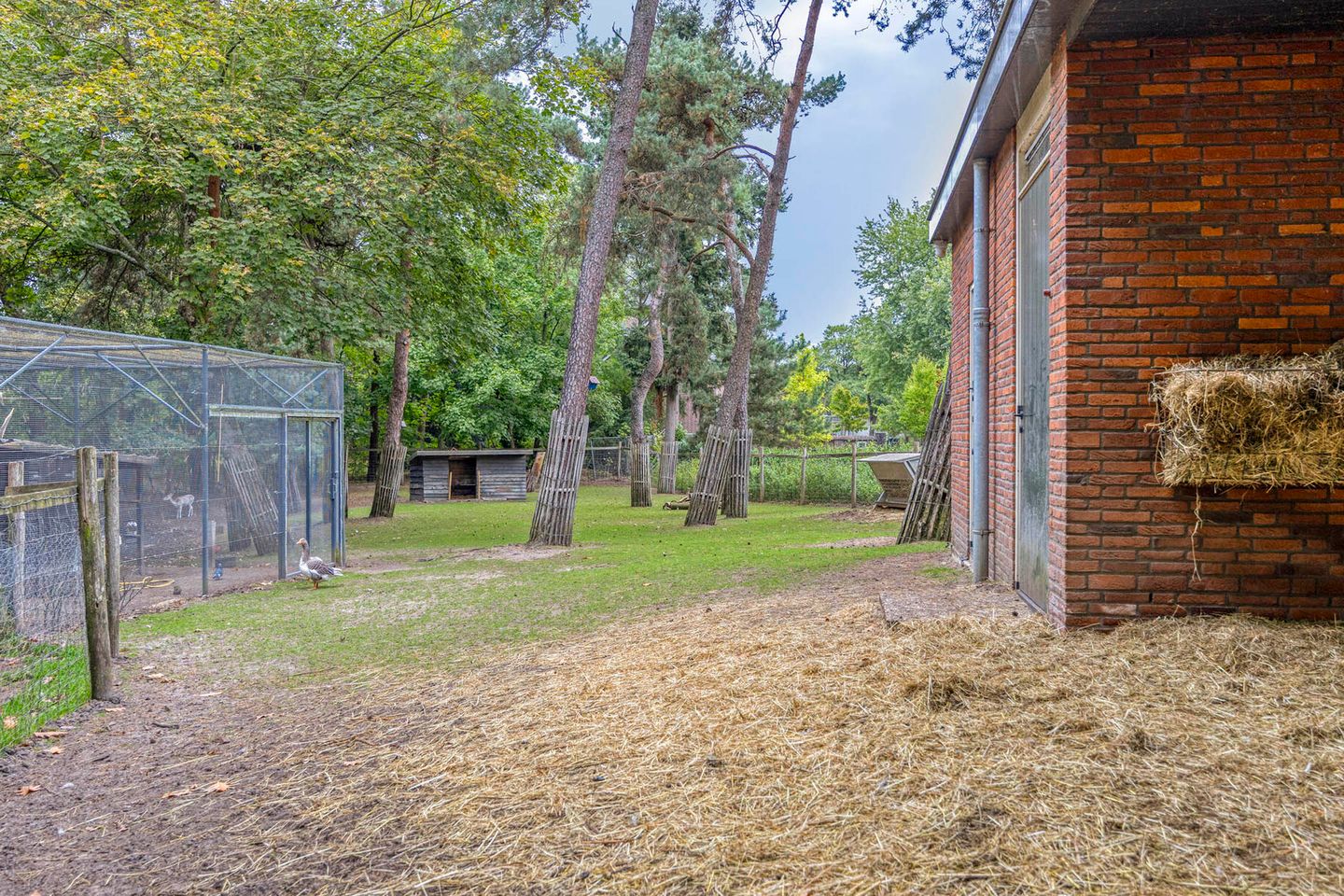 Photo 25 of Espenhof 3