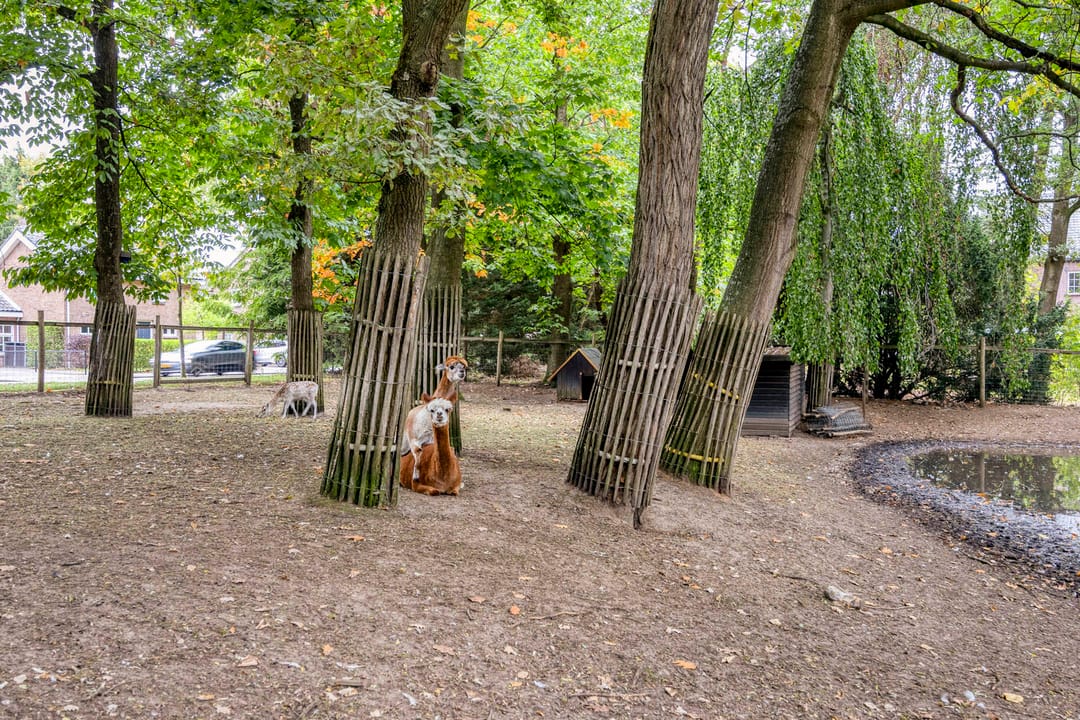 Photo 26 of Espenhof 3