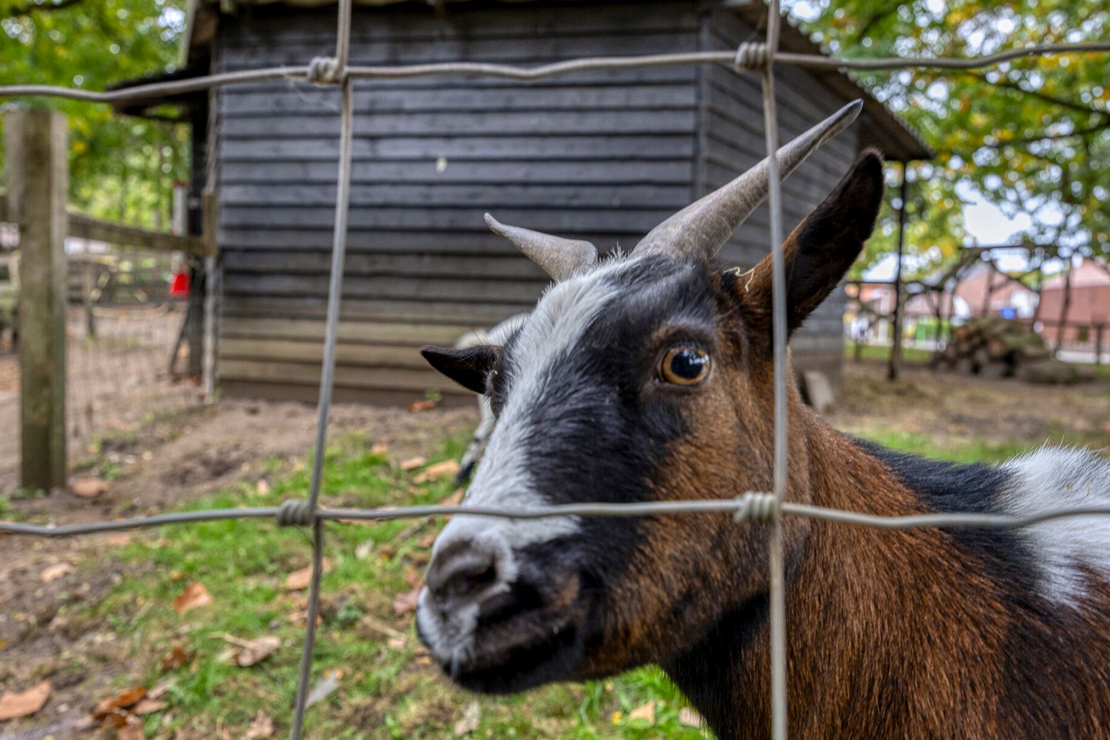 Photo 27 of Espenhof 3