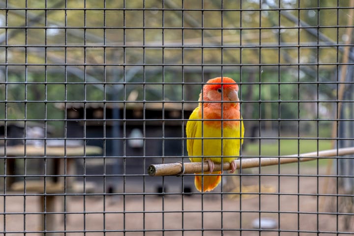 Foto 28 van Espenhof 3