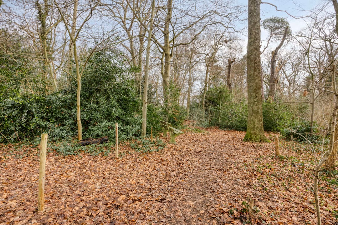 Photo 32 of Bibenstraat 16