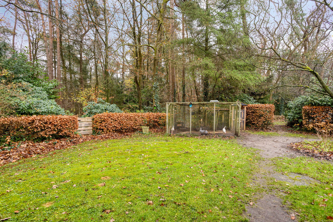 Photo 62 of Oost Ravenweg 7