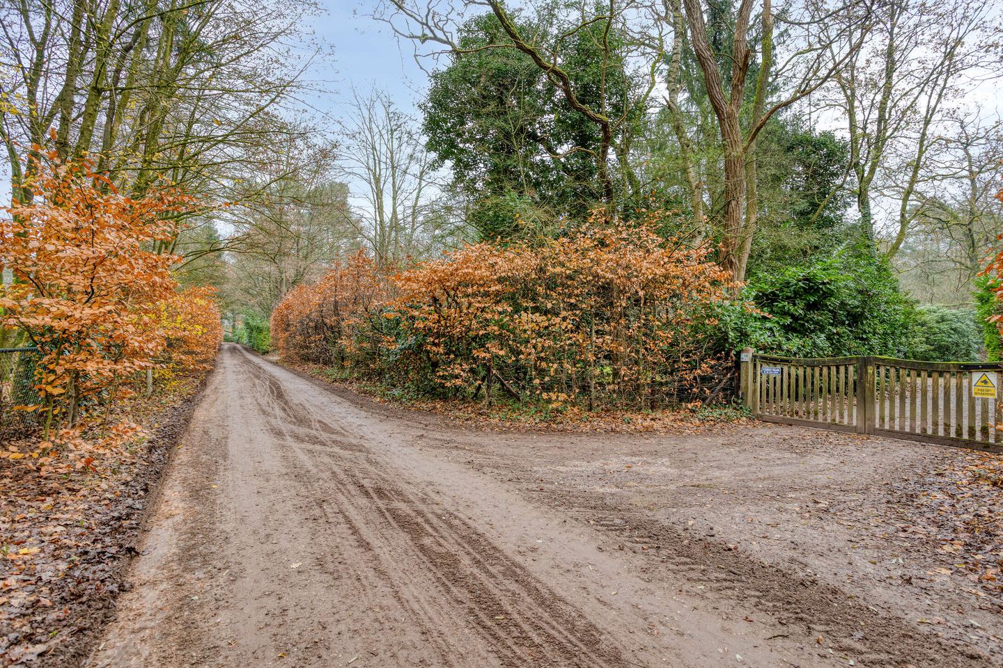 Photo 80 of Oost Ravenweg 7