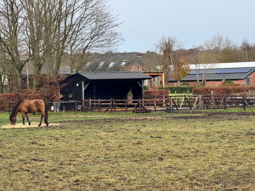 Photo 82 of Oost Ravenweg 7