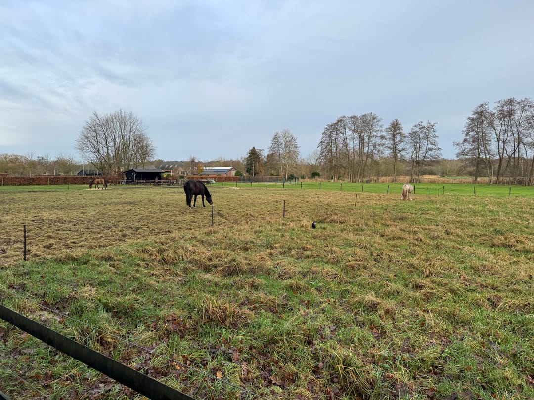 Photo 83 of Oost Ravenweg 7