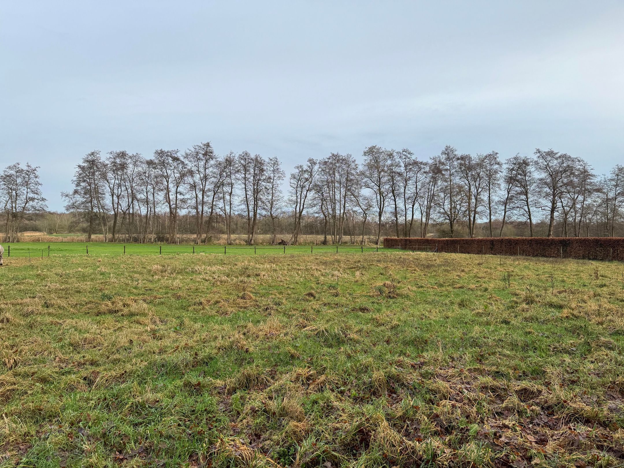 Photo 84 of Oost Ravenweg 7