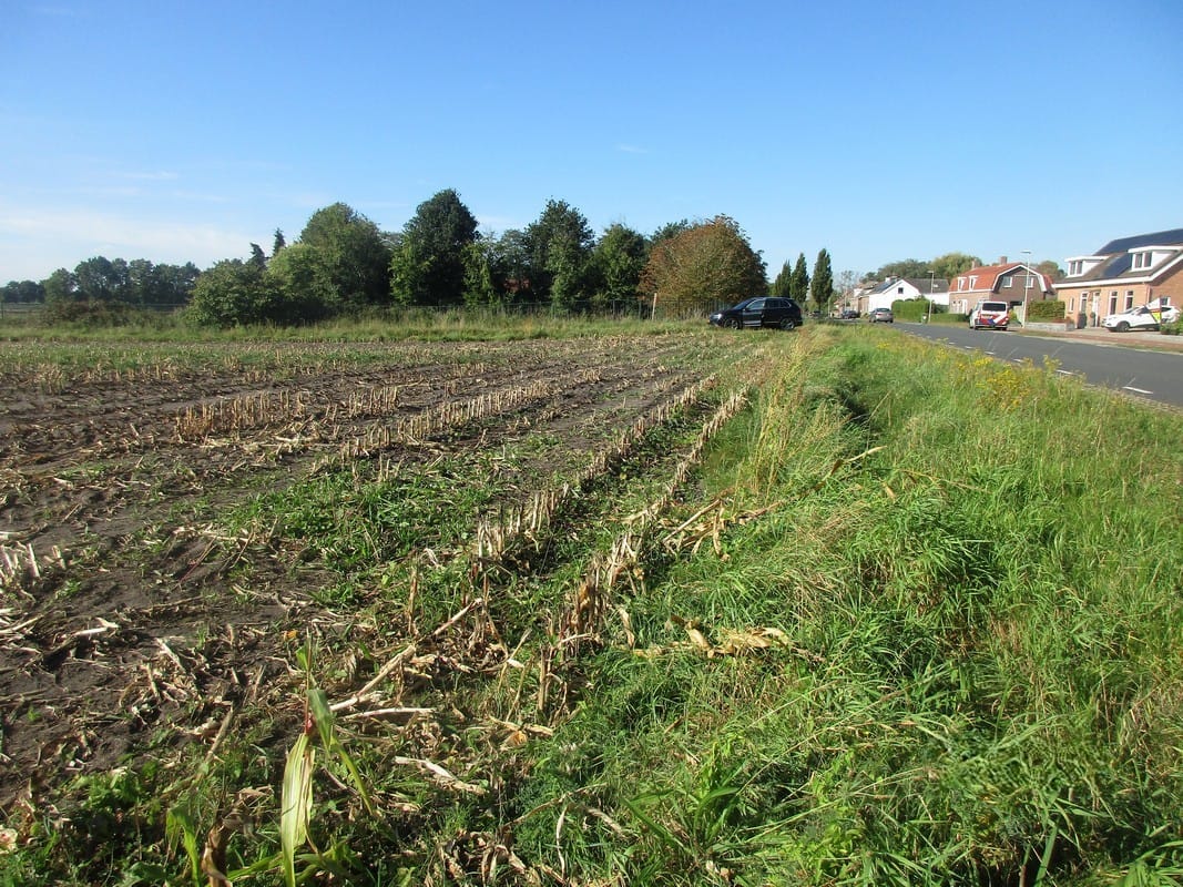 Bekijk foto 4 van Kuivezand