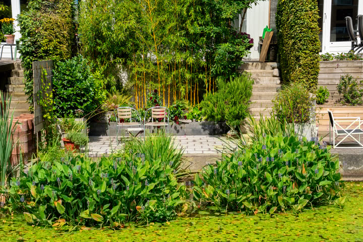 Foto 35 van Binckesstraat 188