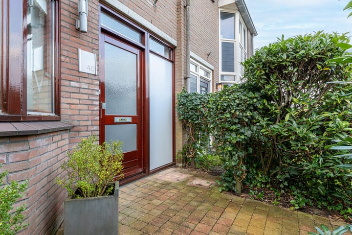 Foto 5 van Hollander 40