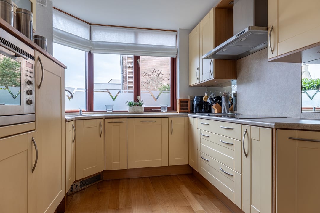 Foto 11 van Hollander 40