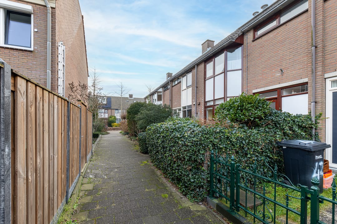 Foto 31 van Hollander 40