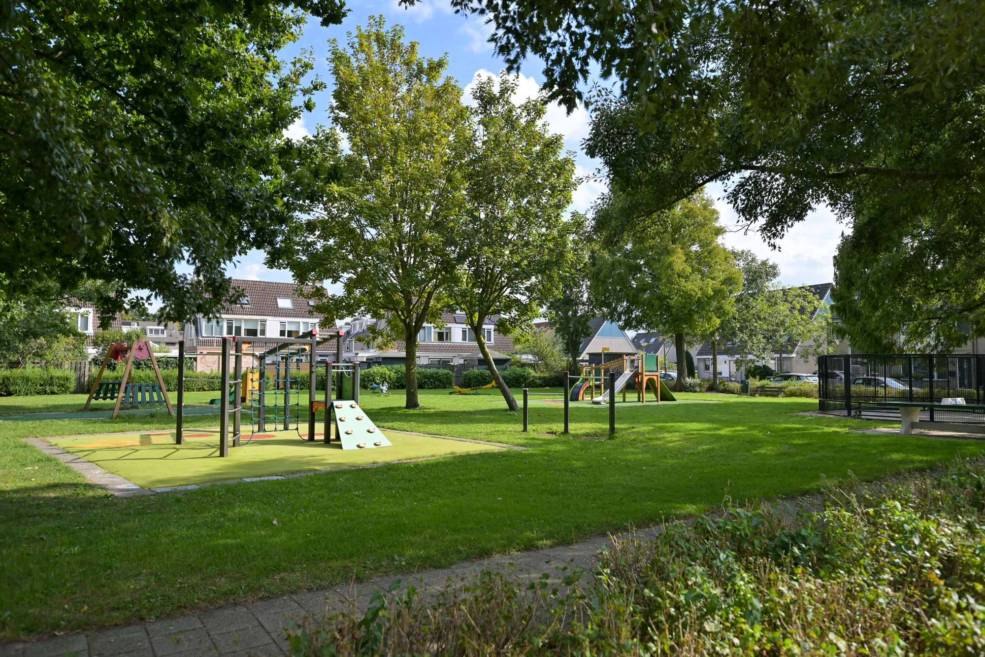 Foto 36 van Hollander 40