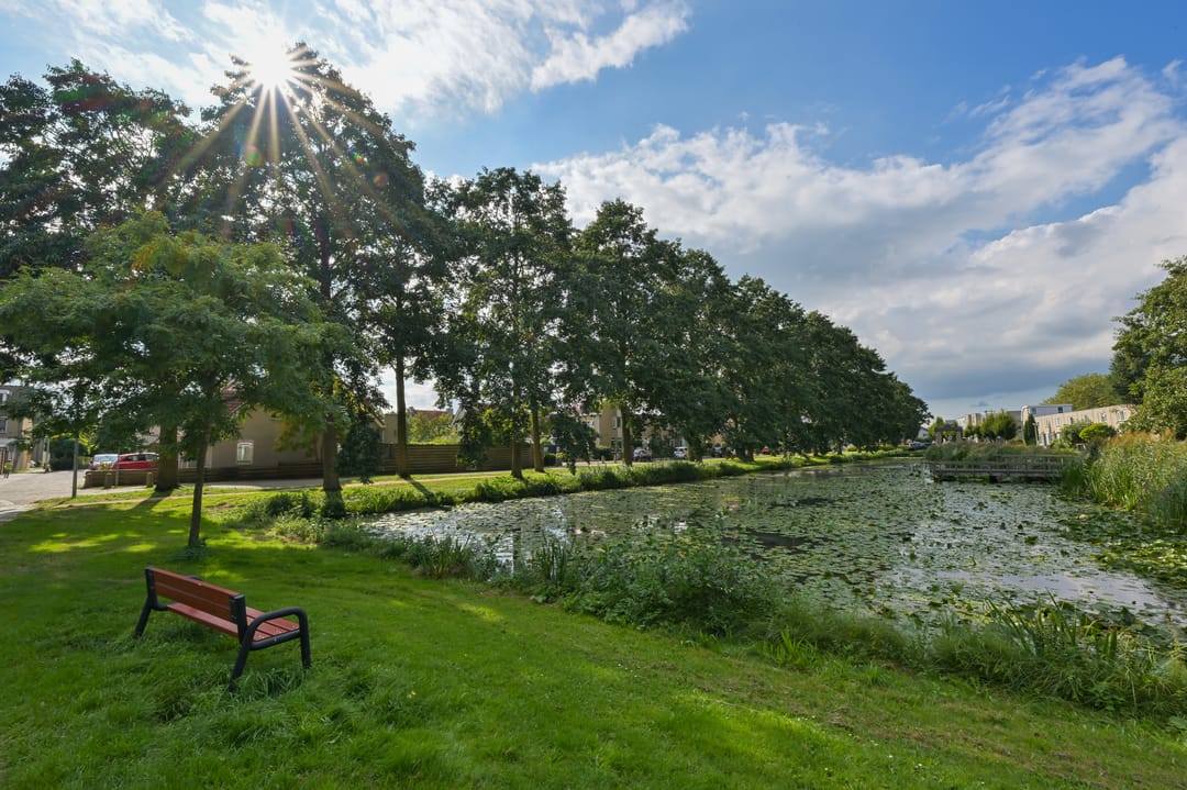 Foto 37 van Hollander 40