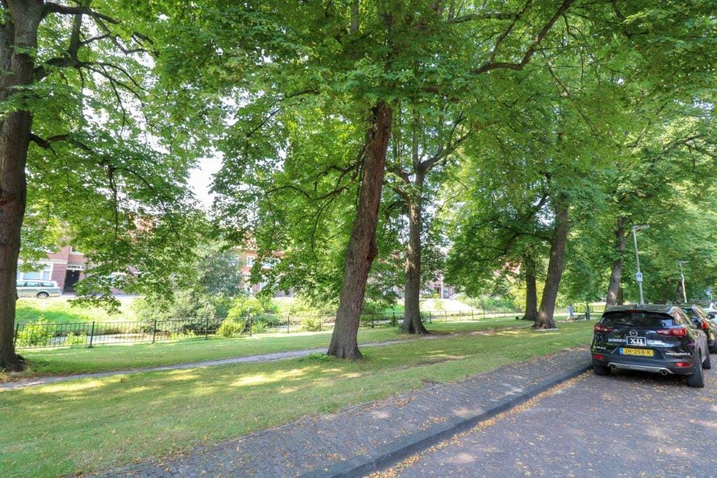 Photo 35 of Burnierstraat 21