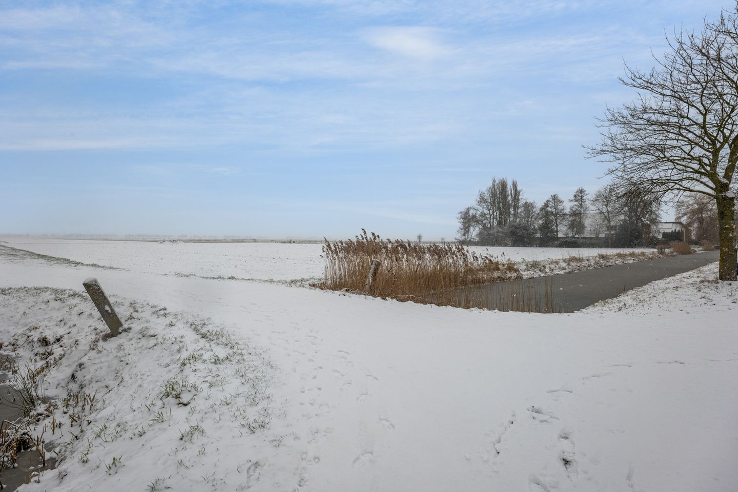 Photo 34 of Landbouwstraat 172