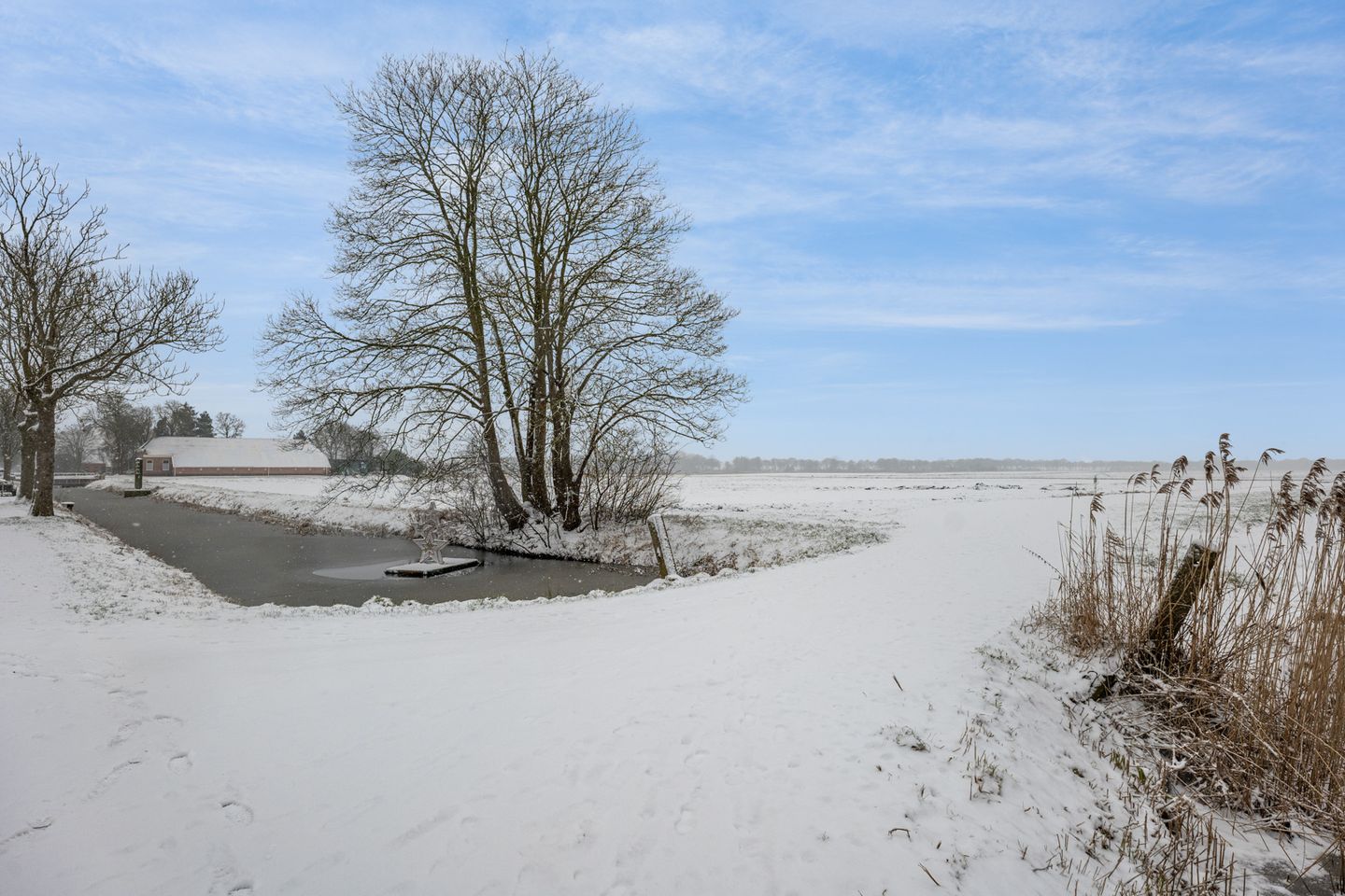 Photo 35 of Landbouwstraat 172