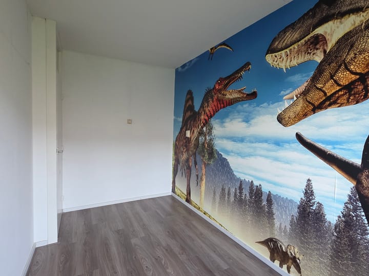 Photo 27 of Venusstraat 66