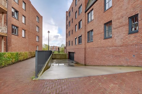 Thomas Morelaan 283 secondary image