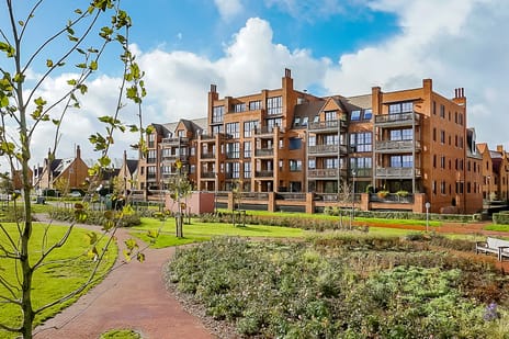 Thomas Morelaan thumbnail